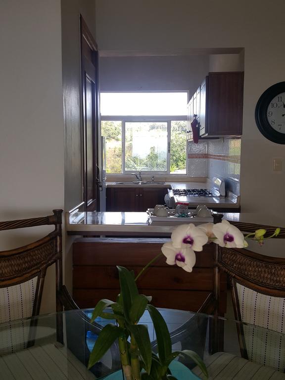 Apartamento Del Cerro Samaná Exterior foto